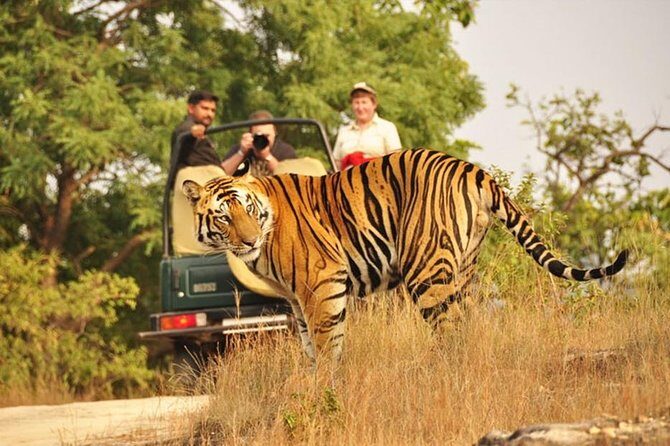 Ranthambore tiger reserve day trip from Jaipur All Inclusive - FAQ