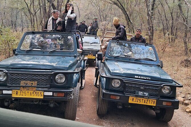 Ranthambore Tiger Reserve Private Gypsy Safari All inclusive - Key Points