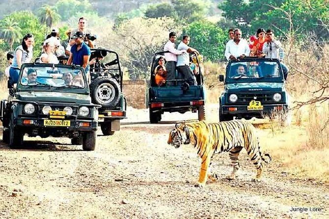 Ranthambore Wildlife Safari with Tickets & Transfer Options - Key Points