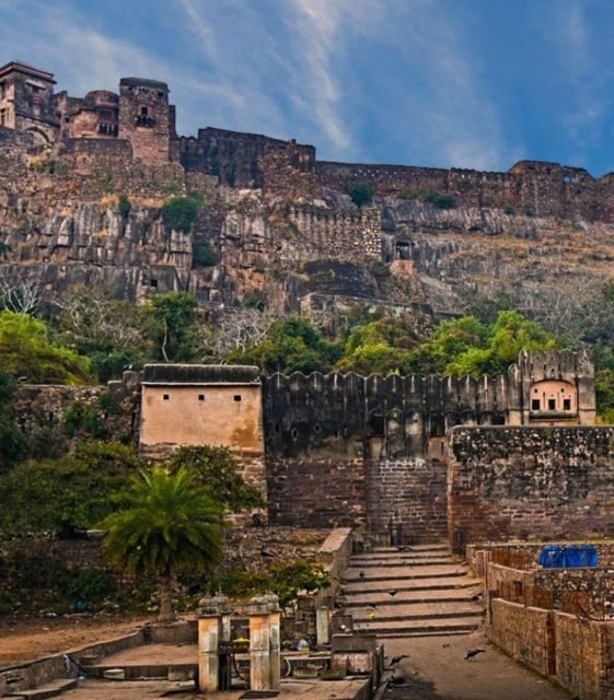 Ranthambore WildLife (tiger safari)Full Day Tour From Jaipur - Key Points