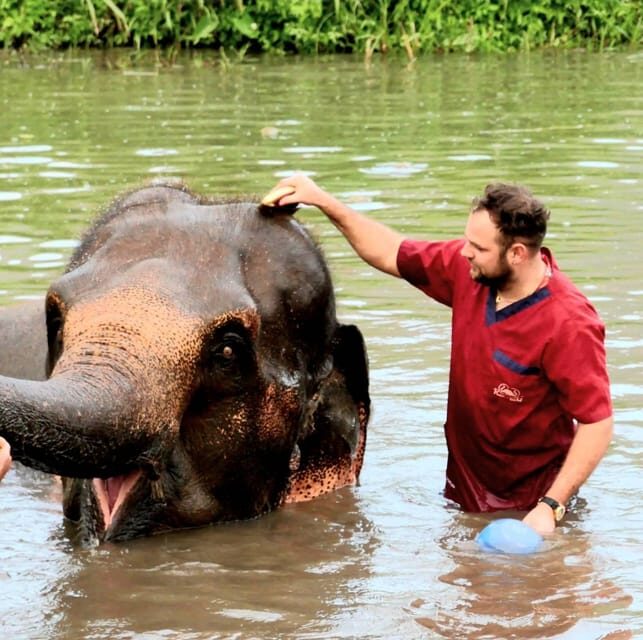 Rantong elephant sanctuary Chiangmai - FAQ: Your Questions Answered