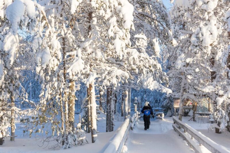 Ranua: Wildlife Park Entrance Ticket - Detailed Breakdown of the Experience