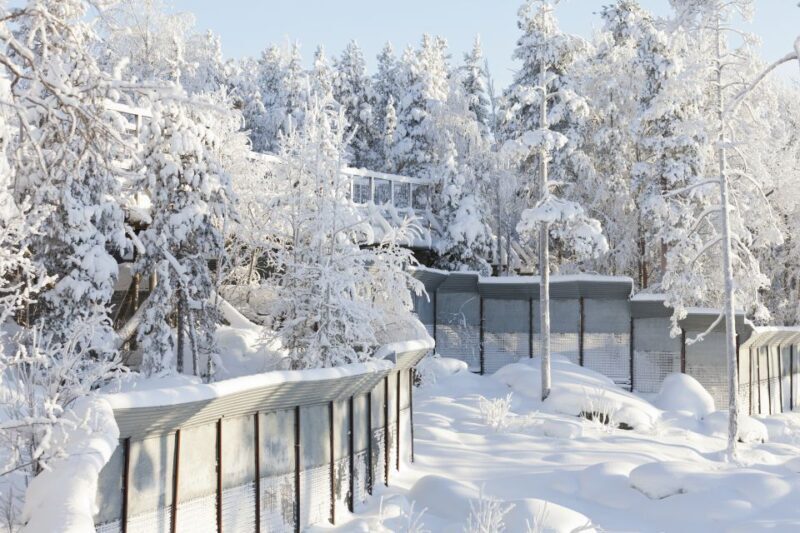 Ranua Wildlife Park Guided Tour from Rovaniemi, With Lunch - FAQ