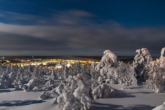 Ranua Zoo- Guided day tour from Rovaniemi - Key Points