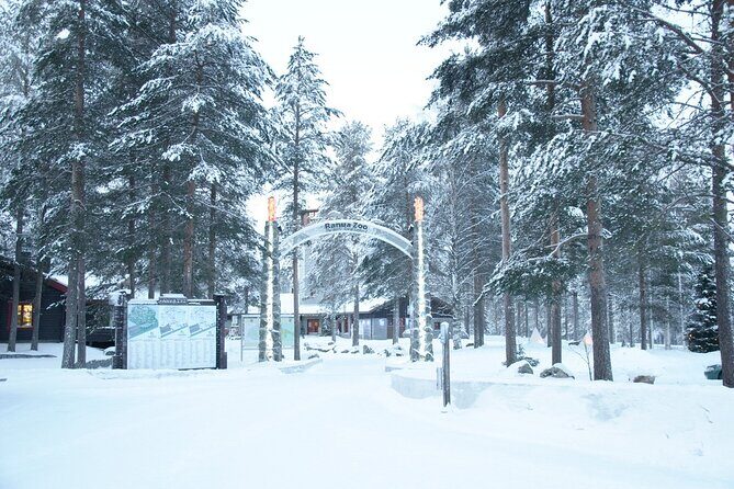 Ranua Zoo- Guided day tour from Rovaniemi - Final Thoughts on the Ranua Zoo Guided Day Tour