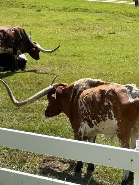 Rapid City: Black Hills Tour with Monument Tour - Authentic Experiences and Authentic Guides