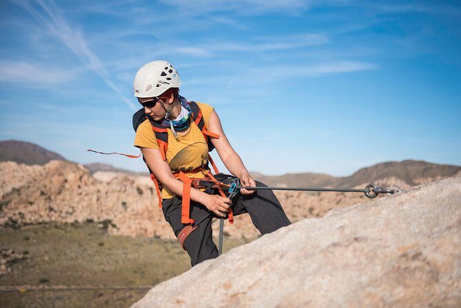 Rappelling Adventure in Joshua Tree National Park (4 Hours) - An In-Depth Look at the Tour Experience