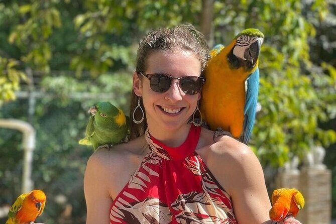 Rasta Cultural Experience with Herb Garden and Animal Farm Tour - Key Points