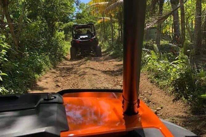 Rastafari Safari Cultural ATV Ride & Ricks Cafe Combo - Key Points