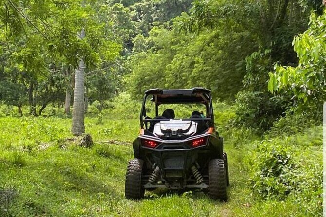 Rastasafari Cultural UTV Community Tour 2 in 1 Experience - The Sum Up