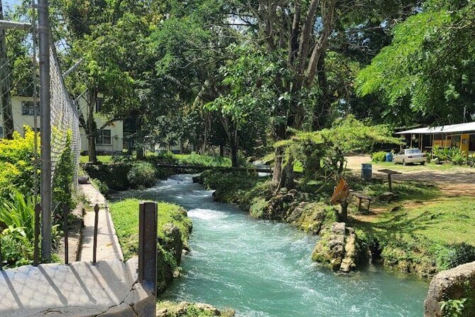 Rastasafari Experience ATV Adventure and Local Day Out - Key Points