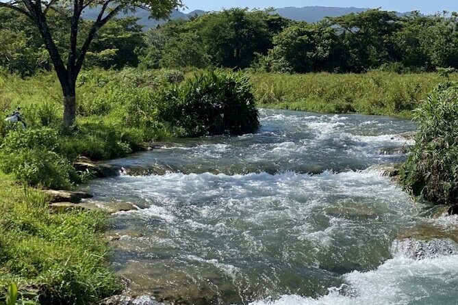 Rastasafari Experience ATV Adventure and Local Day Out - Practical Aspects and Considerations