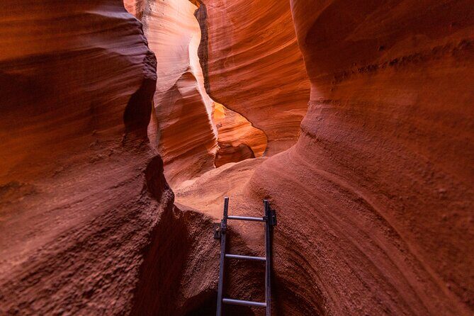 Rattlesnake Canyon Tour - Deep Dive: What You Can Expect from the Rattlesnake Canyon Tour