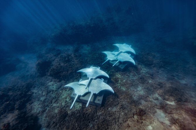 Rayglass Protector - Standard Private Charter - Whitsundays - Stops and Their Allure