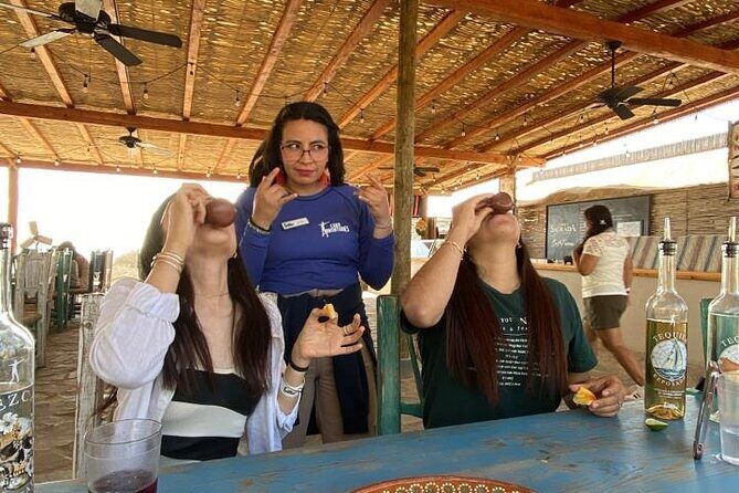 Razer Off-Road Adventure in Los Cabos - Key Points