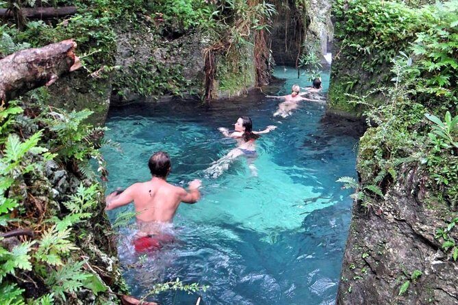 Reach Falls Adventure Tour from Port Antonio - Itinerary Breakdown: What to Expect at Each Stop