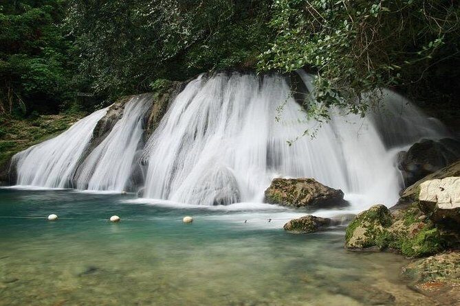 Reach Falls Adventure Tour from Port Antonio - Who Would Love This Tour?