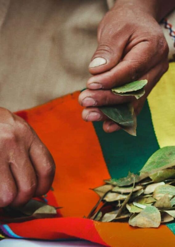 Reading coca leaves: Ancestral Inca Ceremony - A Deep Dive into the Inca Coca Leaf Ceremony