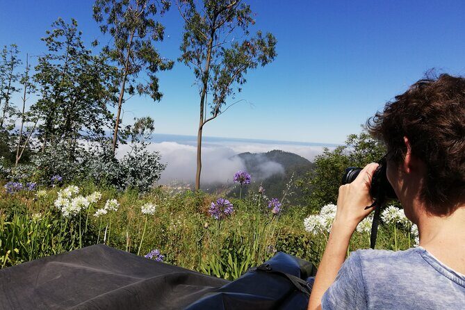 Real Life, Mountains & Sea Cliffs + Lunch + Levada walk - 6 hours - Key Points
