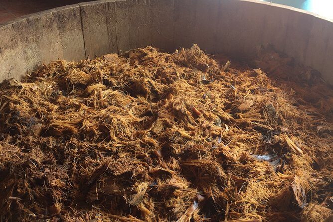 Real Mezcal Adventure - Exploring the Oaxaca Mezcal Tour in Detail