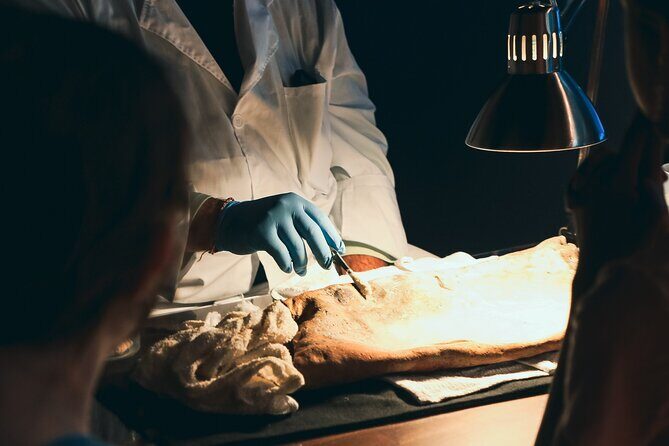 Real Pirates Salem Museum General Admission Ticket - Frequently Asked Questions