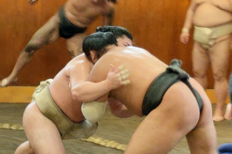 Real Sumo Training Watching Experience in Tokyo - Why a stable morning feels different from a tournament