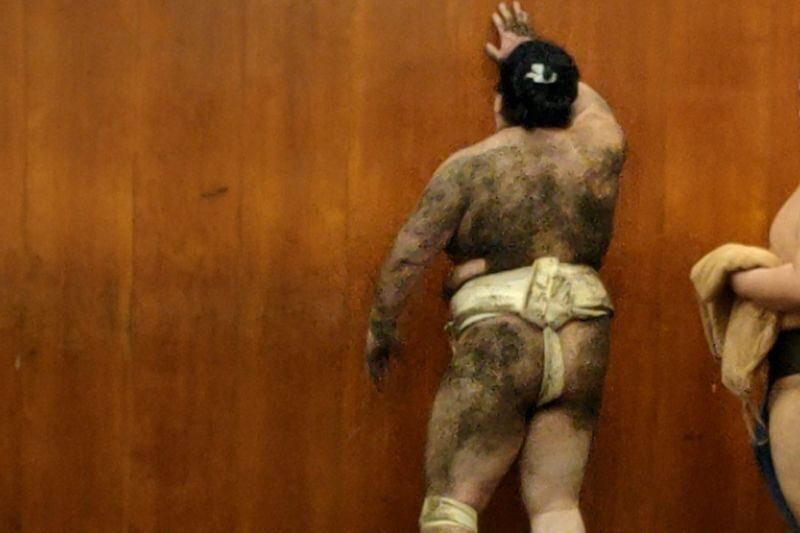 Real Sumo Training Watching Experience in Tokyo - Quiet rules make the visit work
