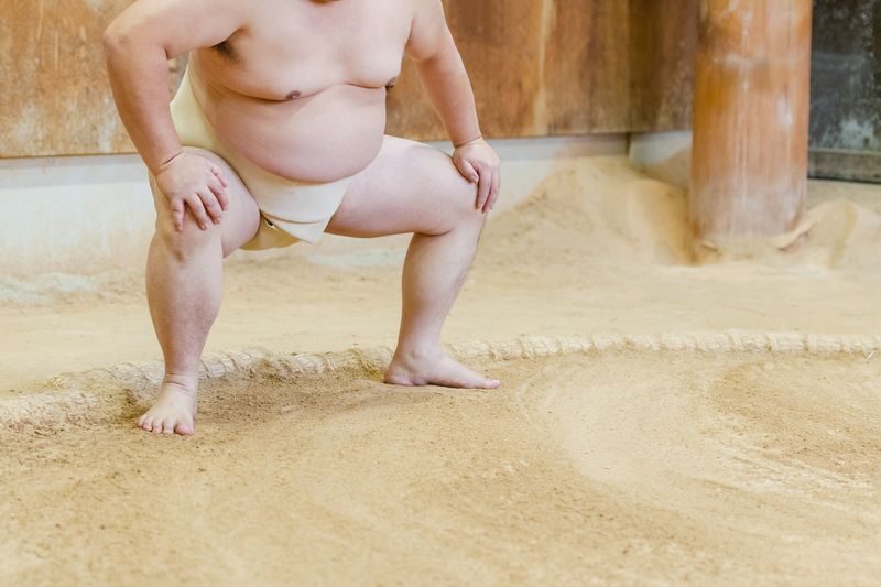 Real Sumo Training Watching Experience in Tokyo - Who should book this morning?