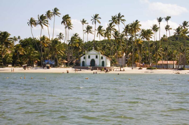 Recife: Carneiros Beach Day Tour - An In-Depth Look at the Carneiros Beach Day Tour