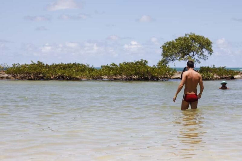 Recife: Carneiros Beach Day Tour - Who Will Love This Tour?