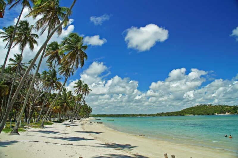 Recife: Tour to Carneiros with Catamaran Ride - Experience the Charm of Carneiros Beach with a Catamaran Ride from Recife