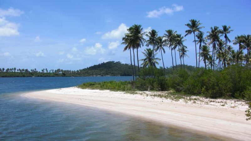 Recife: Tour to Carneiros with Catamaran Ride - Who Is This Tour Best For?