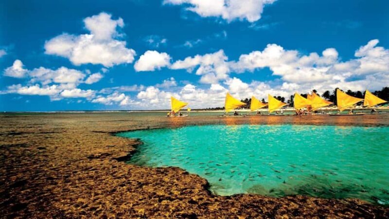 Recife: Tour to Porto de Galinhas - Key Points