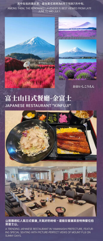Recommended for Families: | Mount Fuji 5th Station/Arakurayama Sengen Park x Lake Kawaguchi (Includes Popular Sightseeing Train Ticket) x Oishi Park x Fruit Picking Day Trip (From Tokyo) - Fruit picking: fun, seasonal and package-dependent