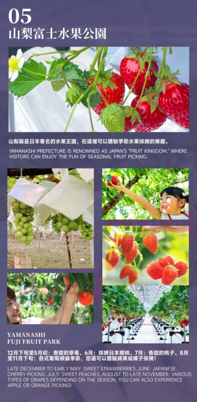 Recommended for Families: | Mount Fuji 5th Station/Arakurayama Sengen Park x Lake Kawaguchi (Includes Popular Sightseeing Train Ticket) x Oishi Park x Fruit Picking Day Trip (From Tokyo) - What the guides and schedule are like