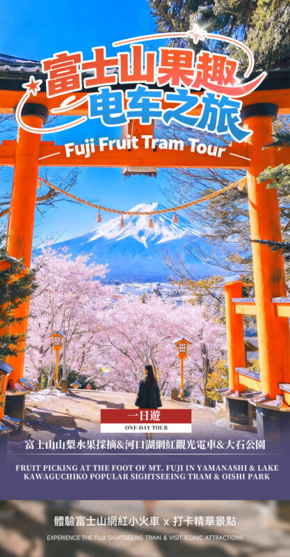 Recommended for Families: | Mount Fuji 5th Station/Arakurayama Sengen Park x Lake Kawaguchi (Includes Popular Sightseeing Train Ticket) x Oishi Park x Fruit Picking Day Trip (From Tokyo) - Is the price good value?