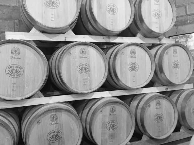 Recorrido + 1 vino / Tour + 1 wine - Key Points