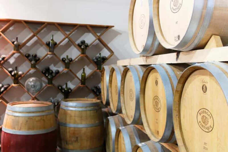Recorrido + 3 vinos + Maridaje/Tour + 3 wines + Cheese board - A Closer Look at the Bodegas Pinesque Tour Experience