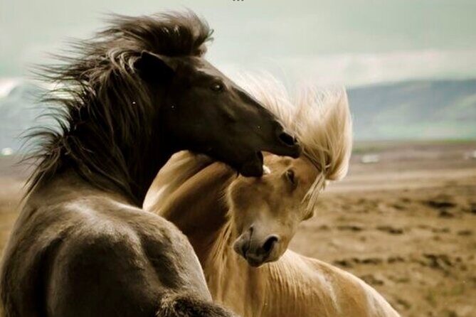 Red Canyons Best Of The Wild West Wild Mustang+Rafting Adventure - What to Expect from the Red Canyons Experience