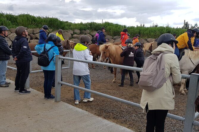 Red Lava Horse Riding Tour From Reykjavik - An In-Depth Look at the Red Lava Horse Riding Tour