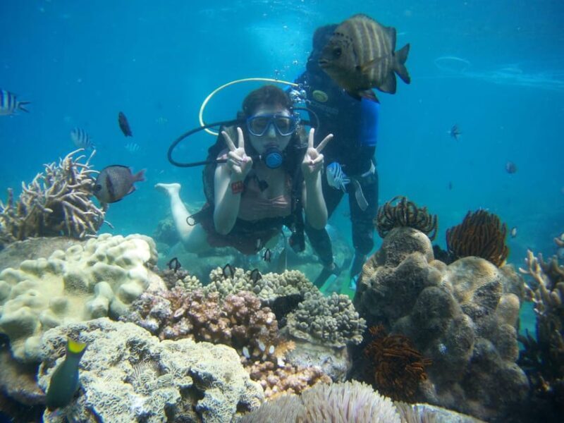 Red River Tour - Scuba Diving At Roi Island Phu Quoc - Red River Tour - Scuba Diving at Roi Island Phu Quoc: An Authentic Underwater Experience