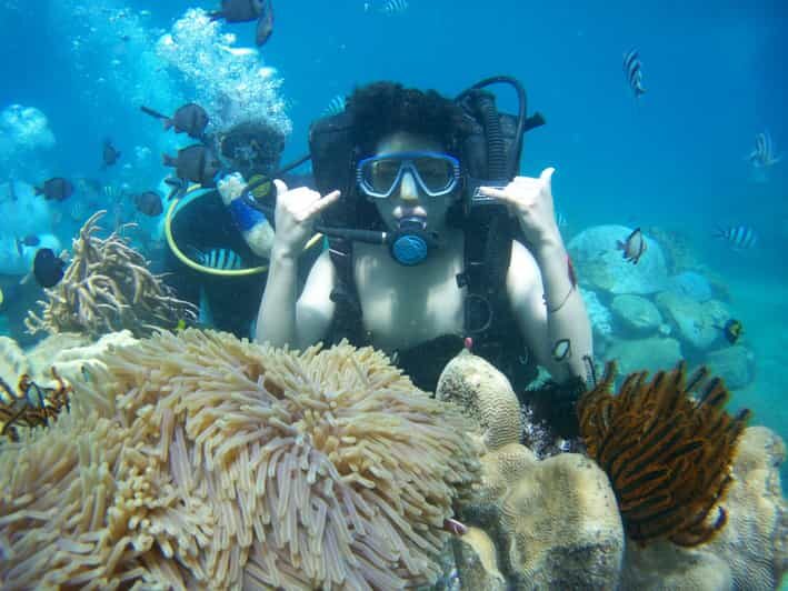 Red River Tour - Scuba Diving At Roi Island Phu Quoc - Key Points