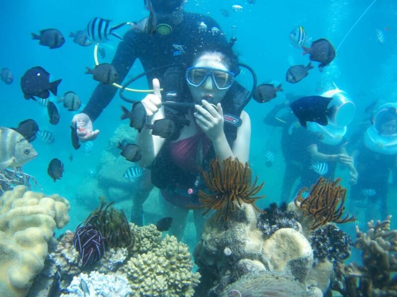 Red River Tour - Scuba Diving At Roi Island Phu Quoc - Who Should Consider This Tour?
