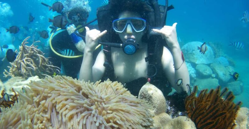 Red River Tour - Scuba Diving At Roi Island Phu Quoc - Frequently Asked Questions