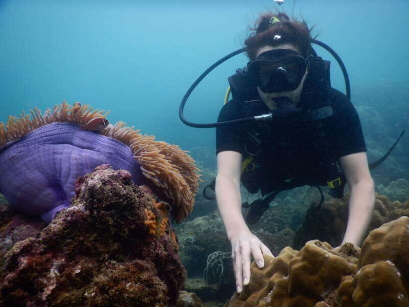 [Red River Tours] Luxury Professional Scuba Diving - Experience the Underwater World of Phu Quoc with Red River Tours Luxury Scuba Diving