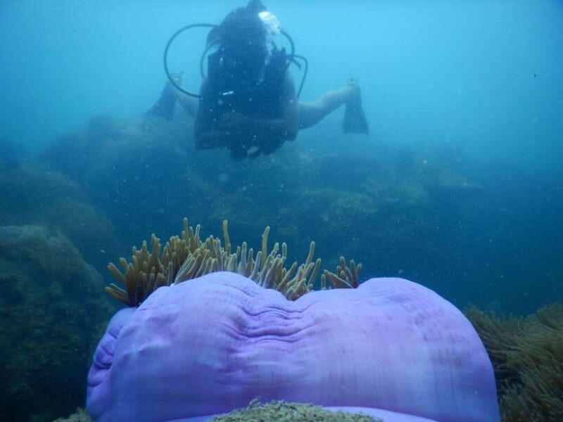 [Red River Tours] Luxury Professional Scuba Diving - Final Thoughts