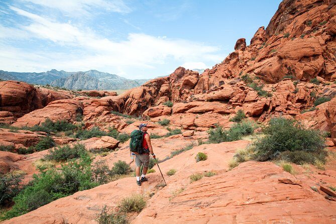 Red Rock Canyon Hike with Transport from Las Vegas - Key Points