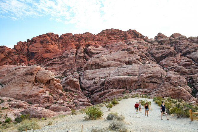 Red Rock Canyon Hike with Transport from Las Vegas - The Sum Up