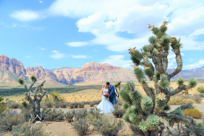 Red Rock Canyon Wedding by Private Limousine - An Honest Look at the Red Rock Canyon Wedding by Private Limousine
