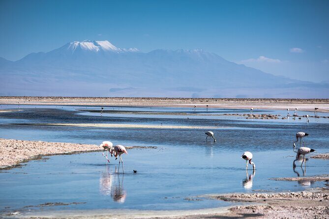 Red Stones and High Plains Tour from San Pedro - Key Points